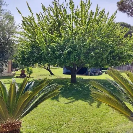 Casale Elisa Country house Ladispoli