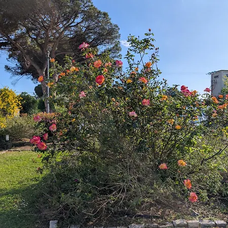 Casale Elisa Country